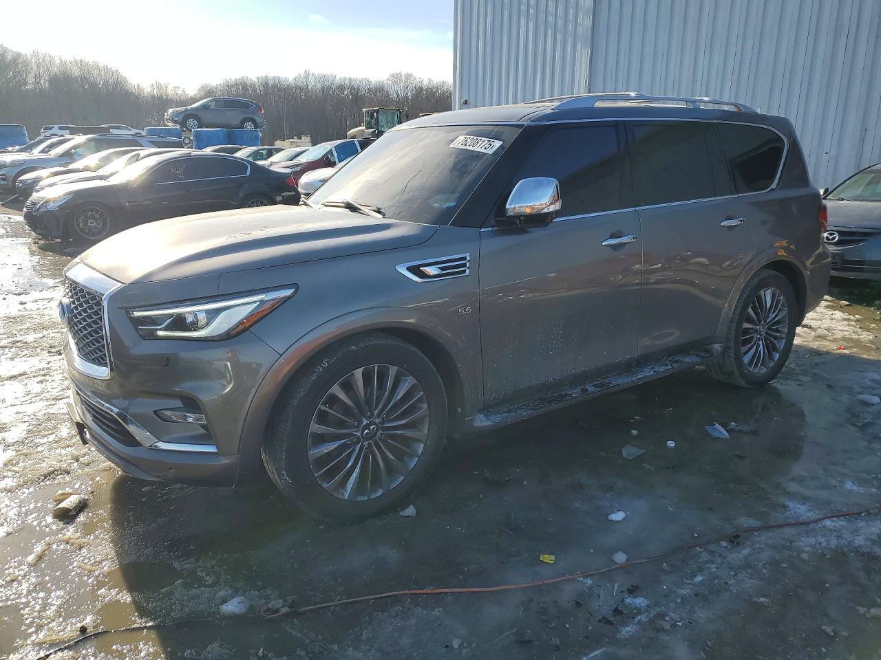 INFINITI QX80 2019
