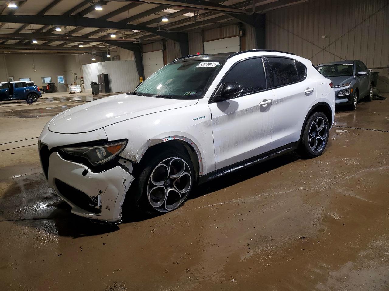 ALFA ROMEO STELVIO 2022