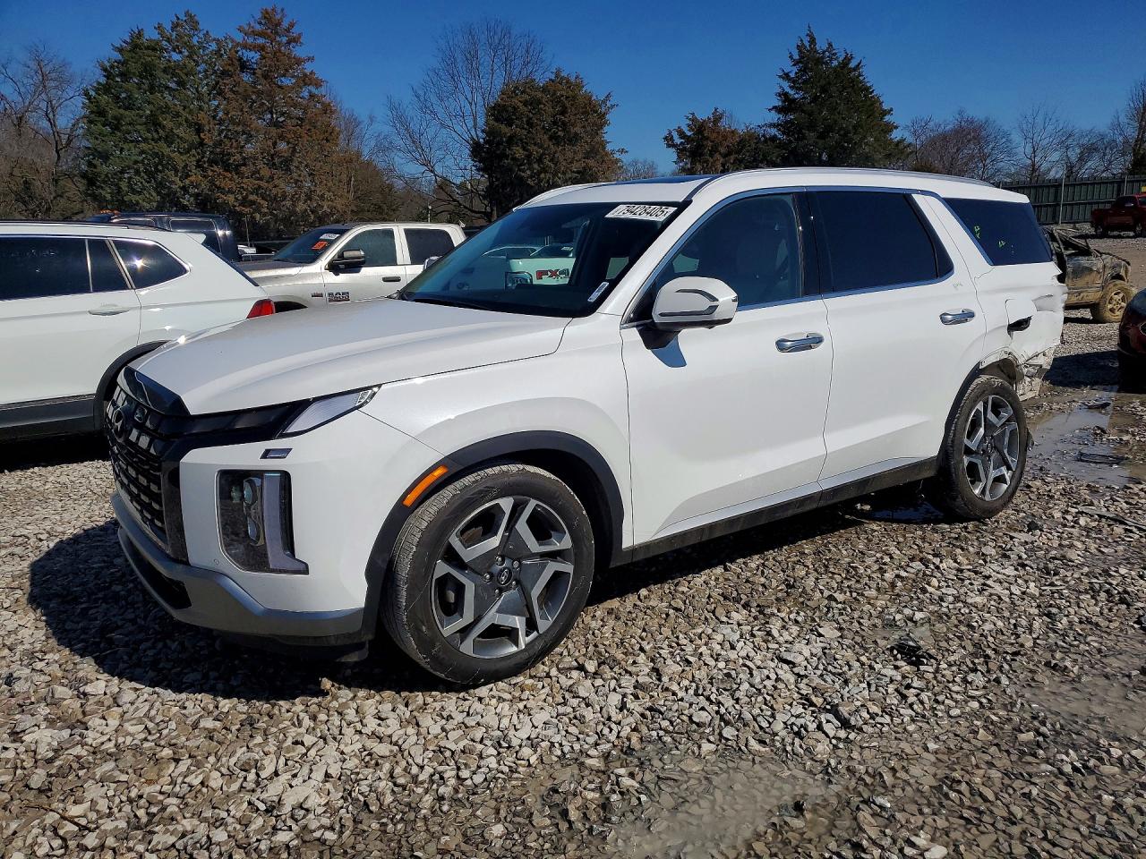 HYUNDAI PALISADE 2025