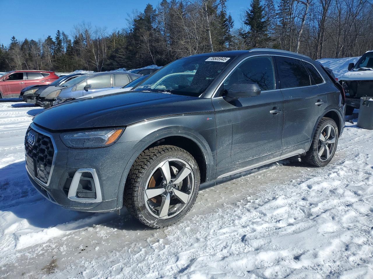 AUDI Q5 2023