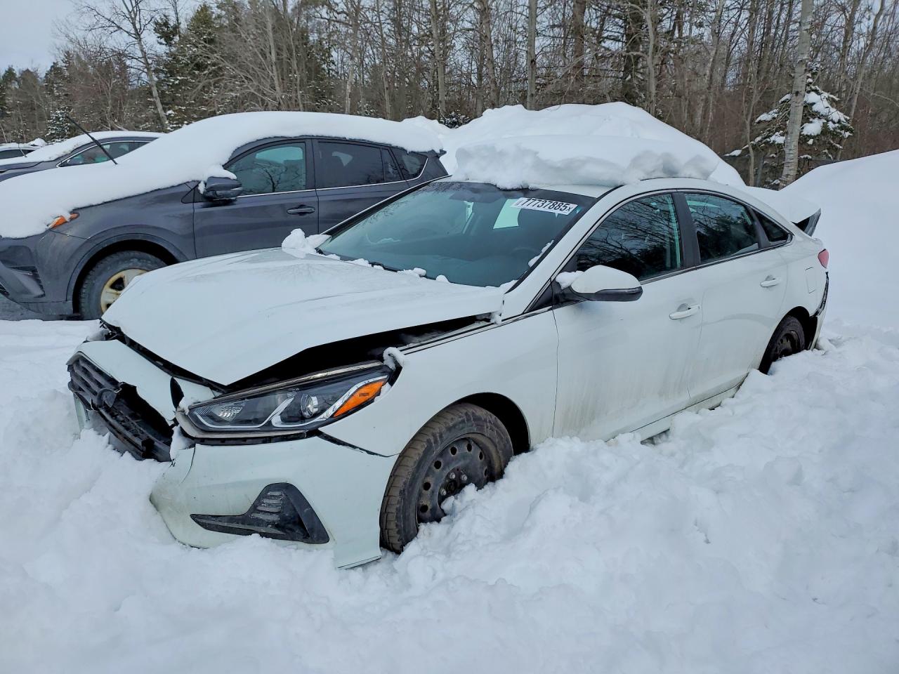 HYUNDAI SONATA 2019