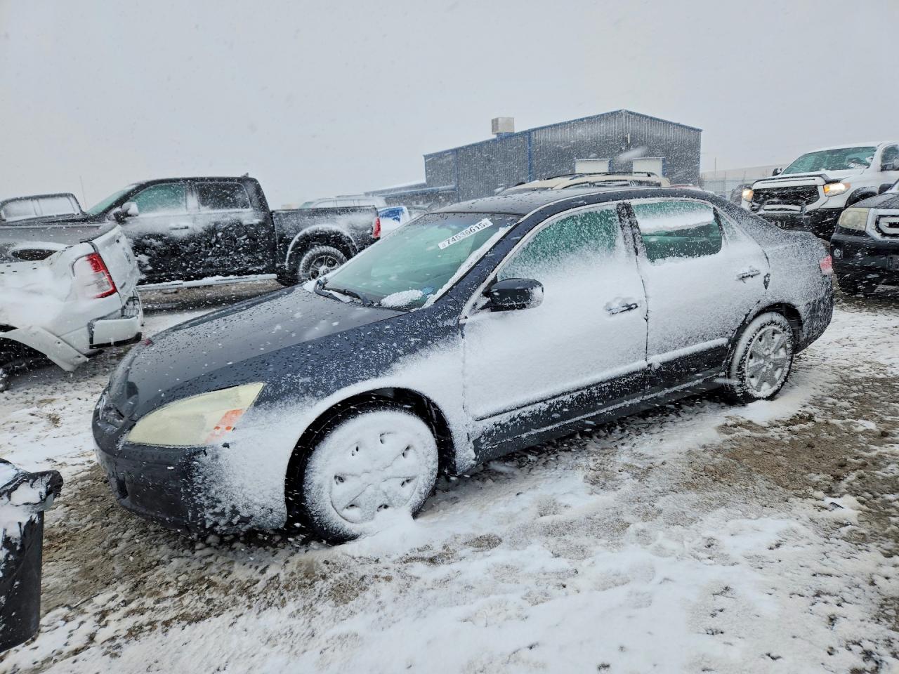HONDA ACCORD 2004