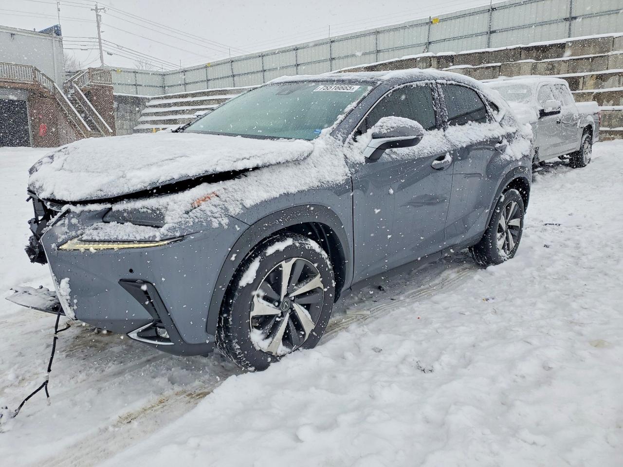 LEXUS NX 2021
