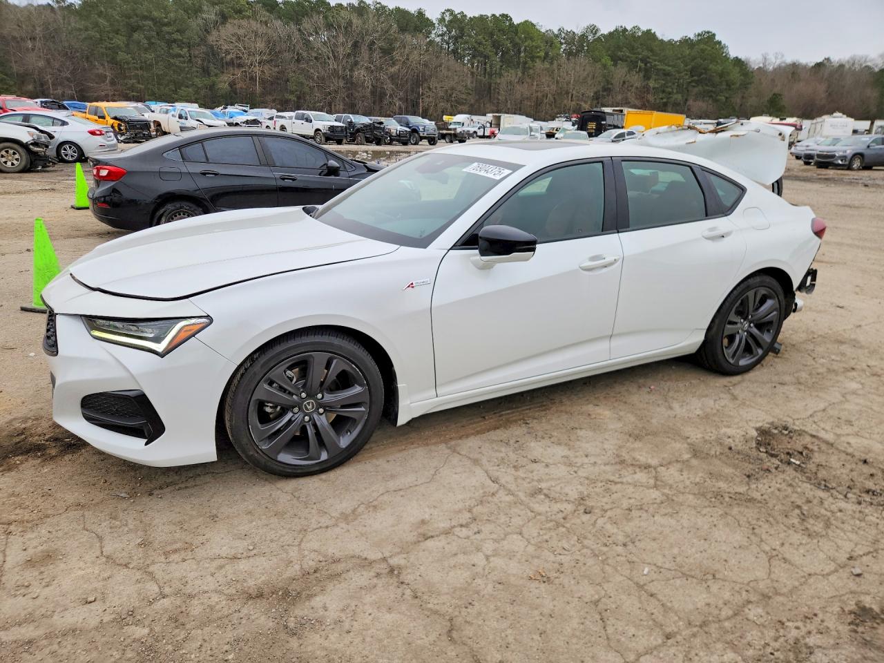 ACURA TLX 2023