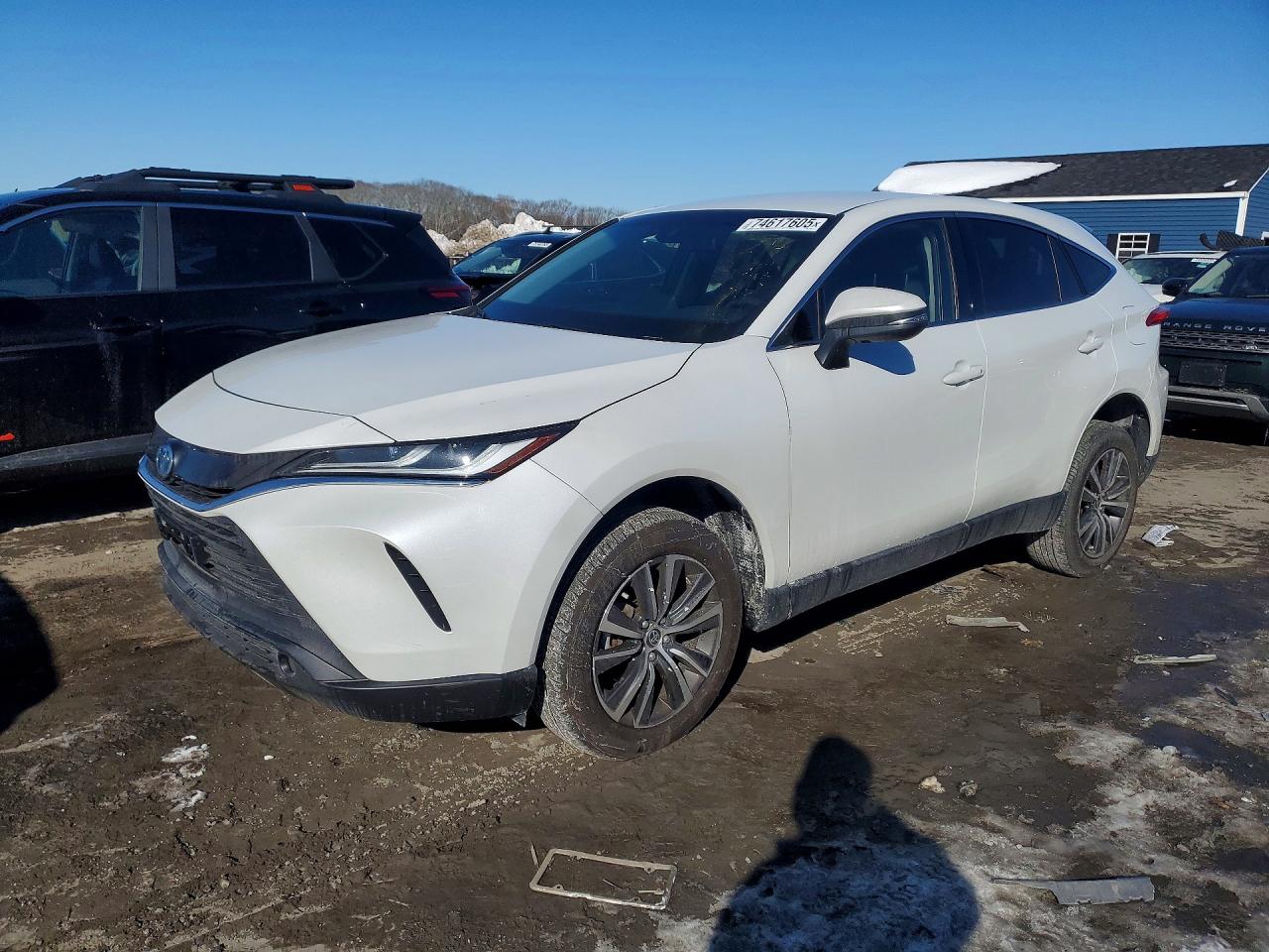 TOYOTA VENZA 2023