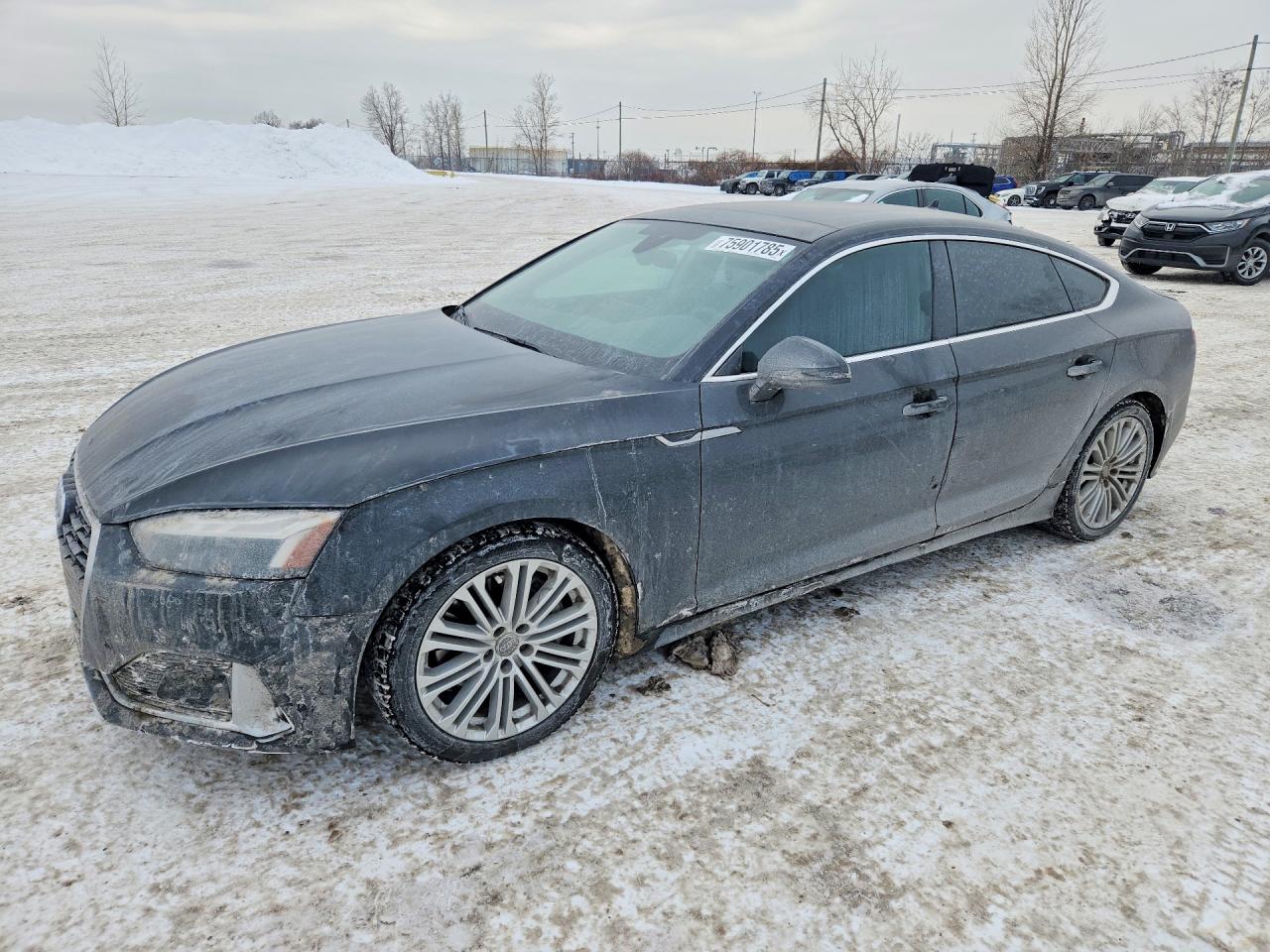 AUDI A5 2022