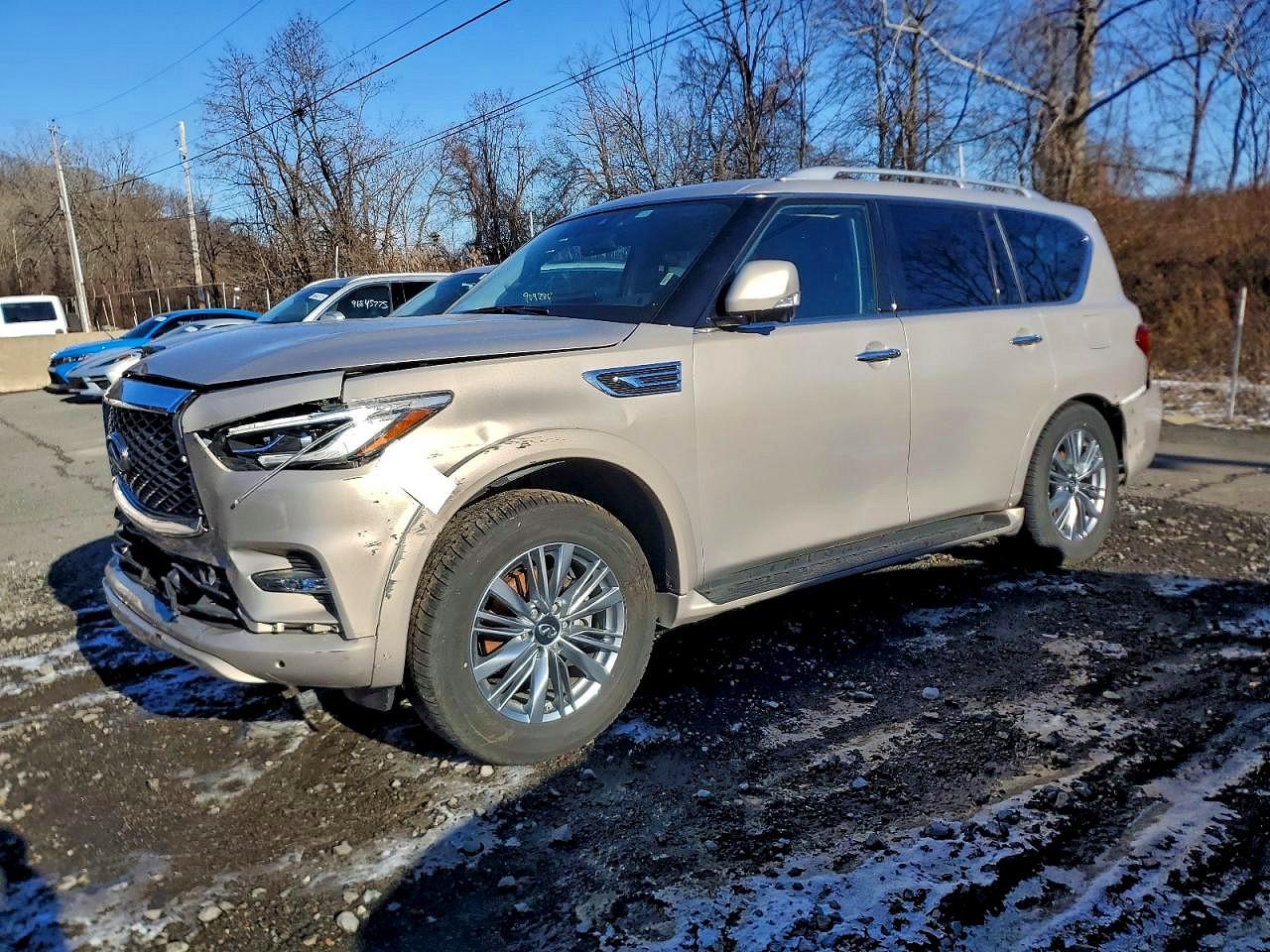 INFINITI QX80 2023