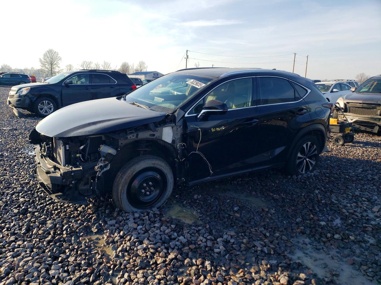 LEXUS NX 2018