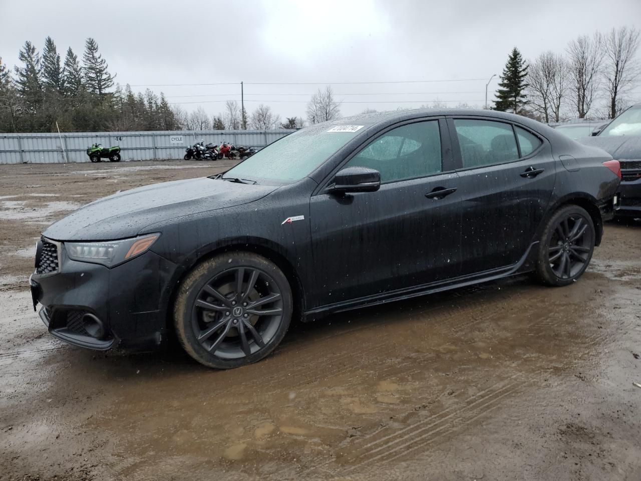 ACURA TLX TECHNO 2020