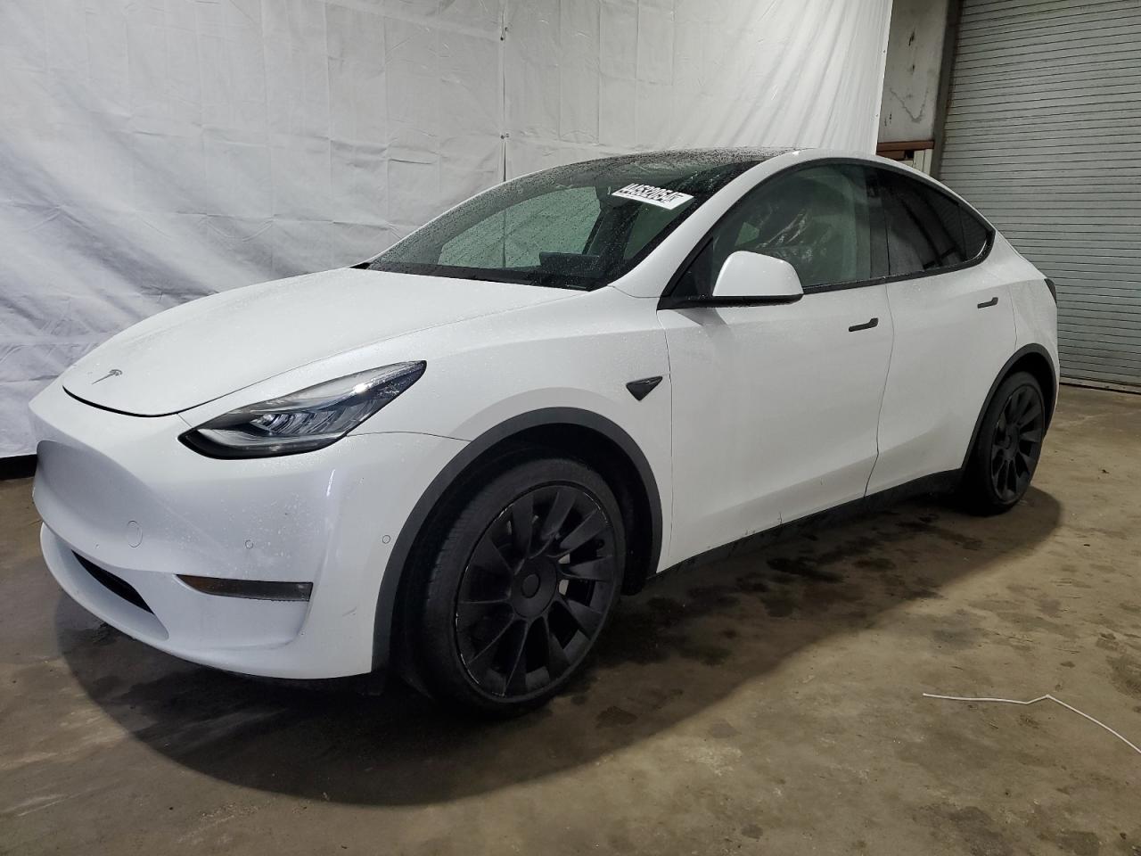 TESLA MODEL Y 2021