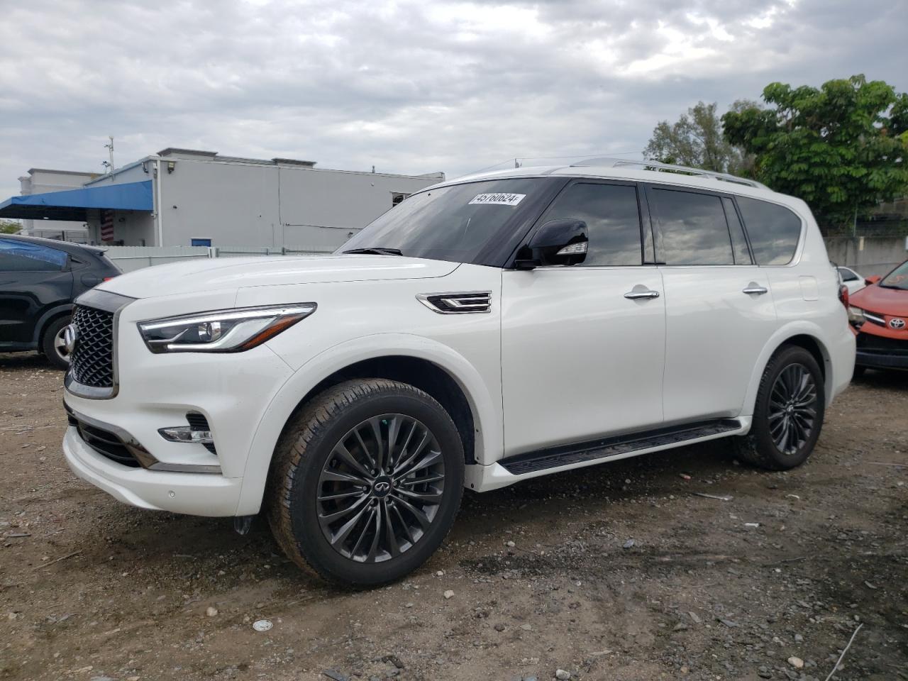 INFINITI QX80 LUXE 2023