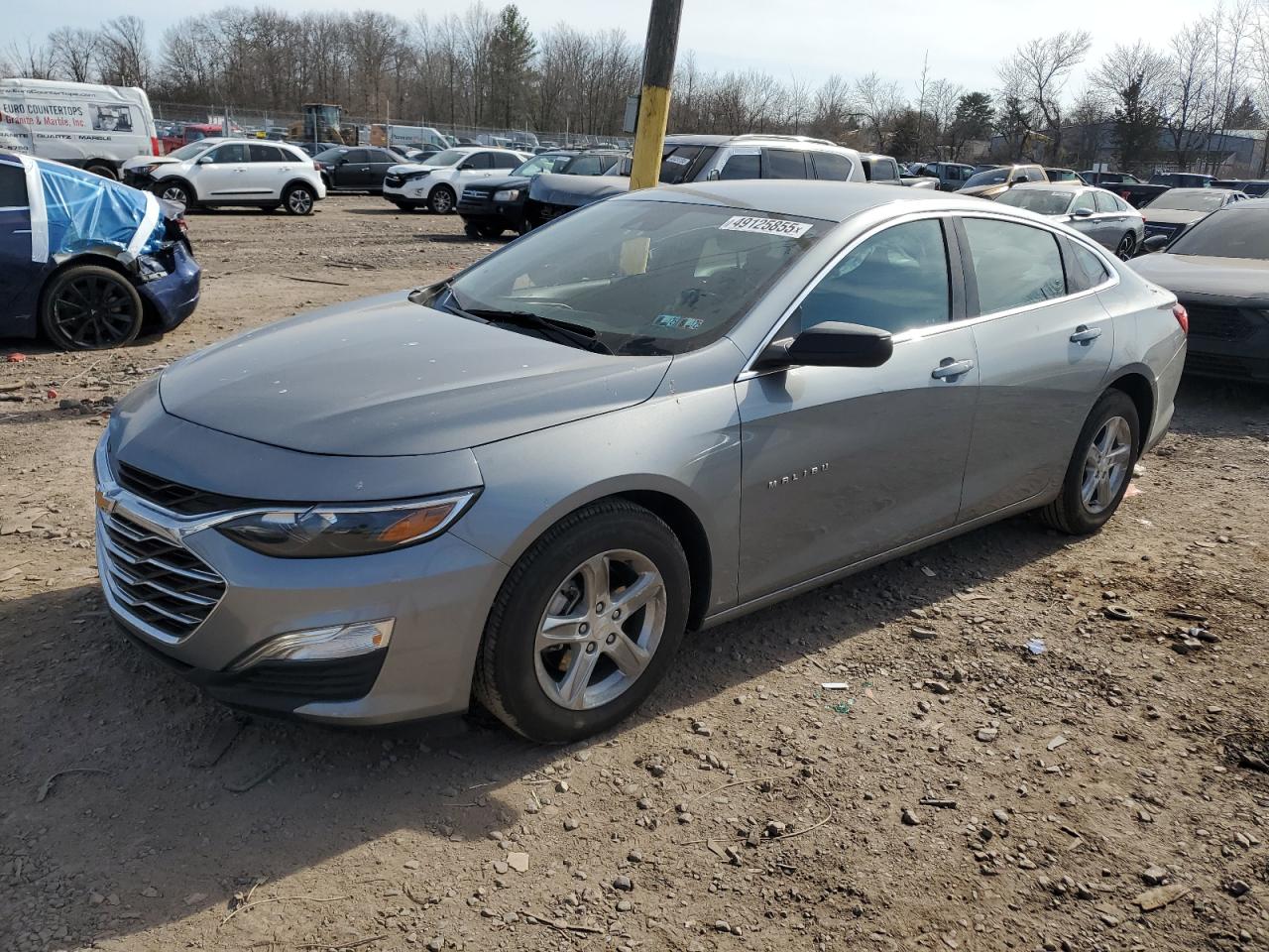 CHEVROLET MALIBU LS 2024