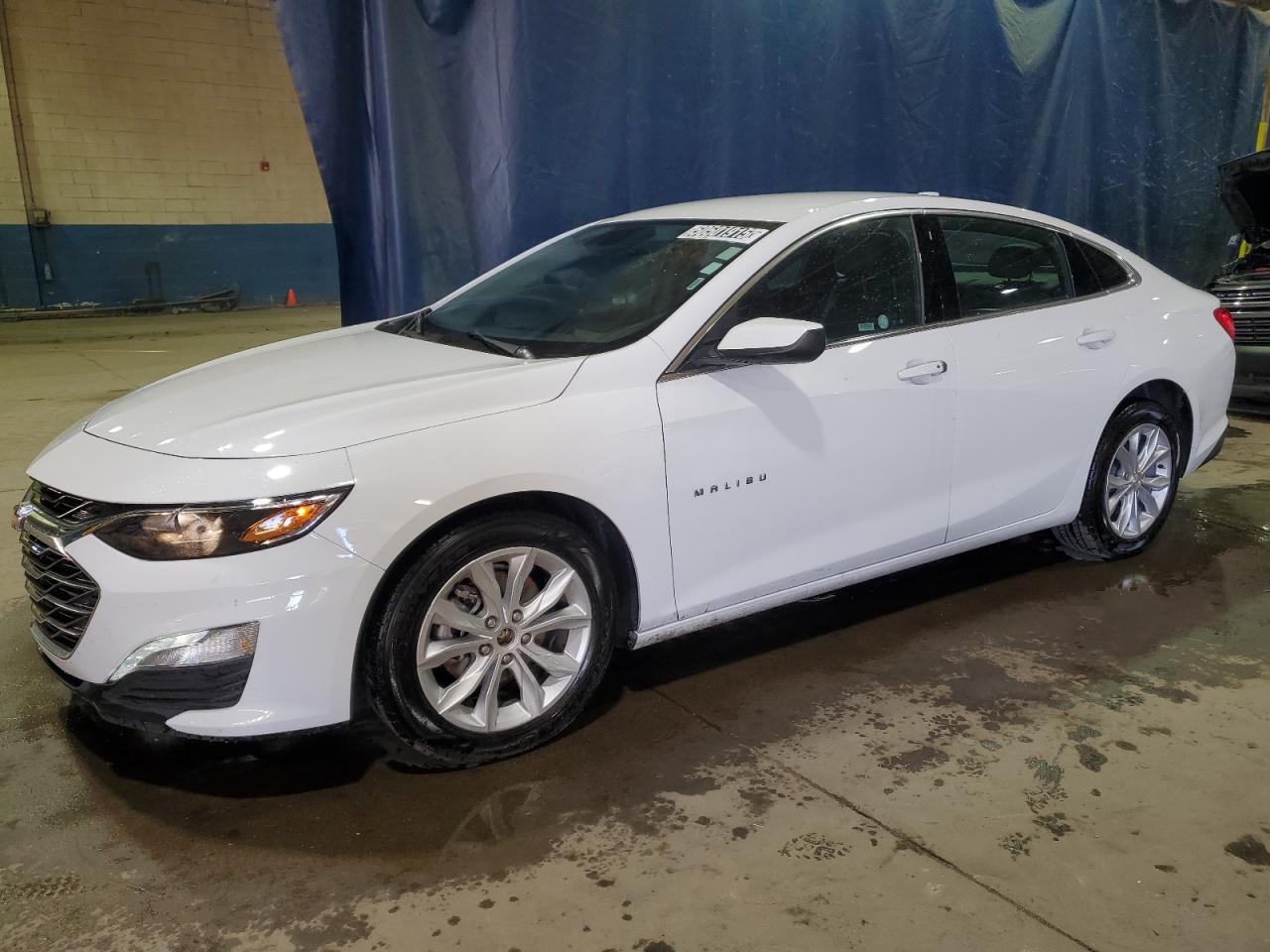 CHEVROLET MALIBU LT 2024