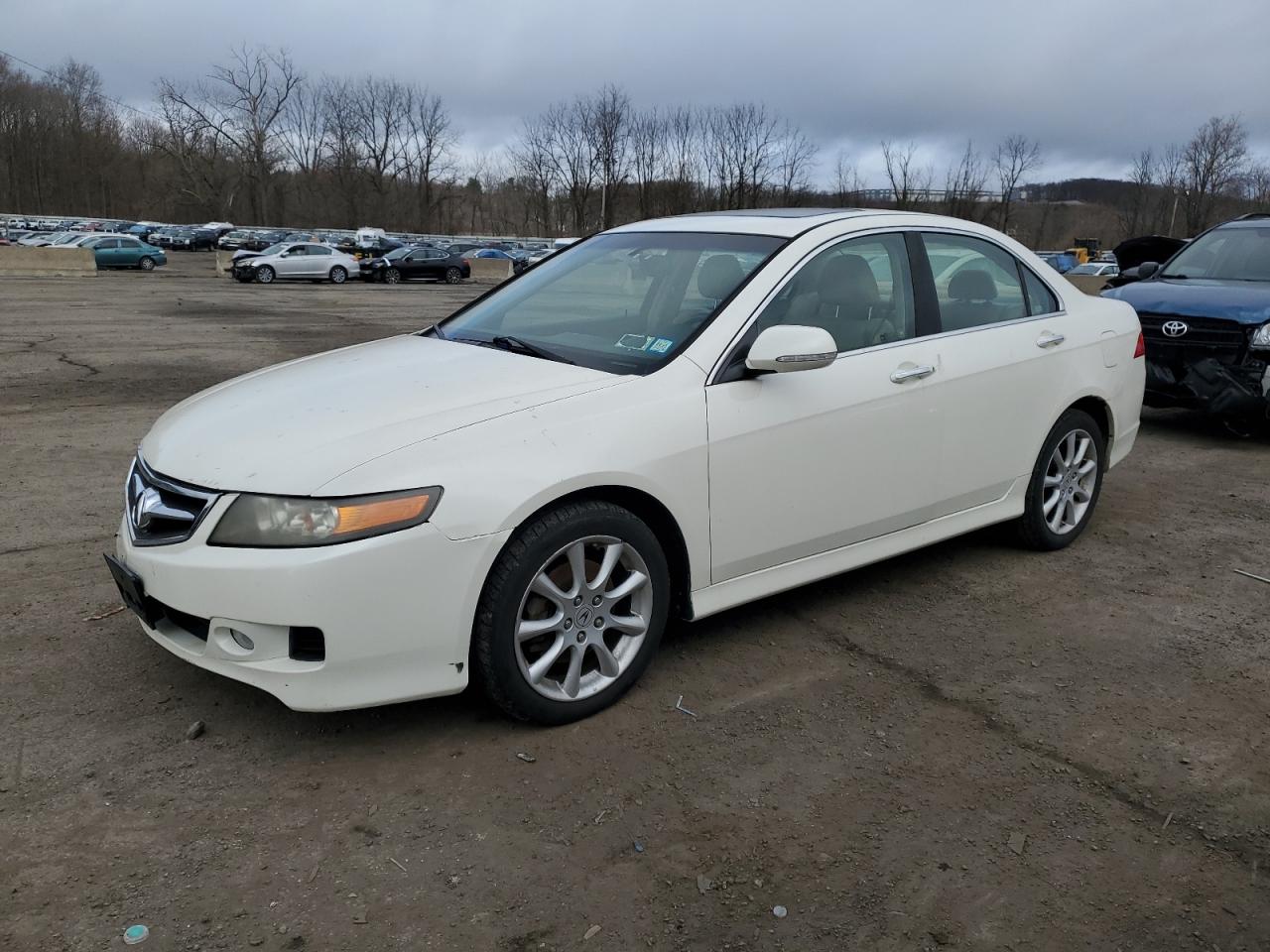 ACURA TSX 2007