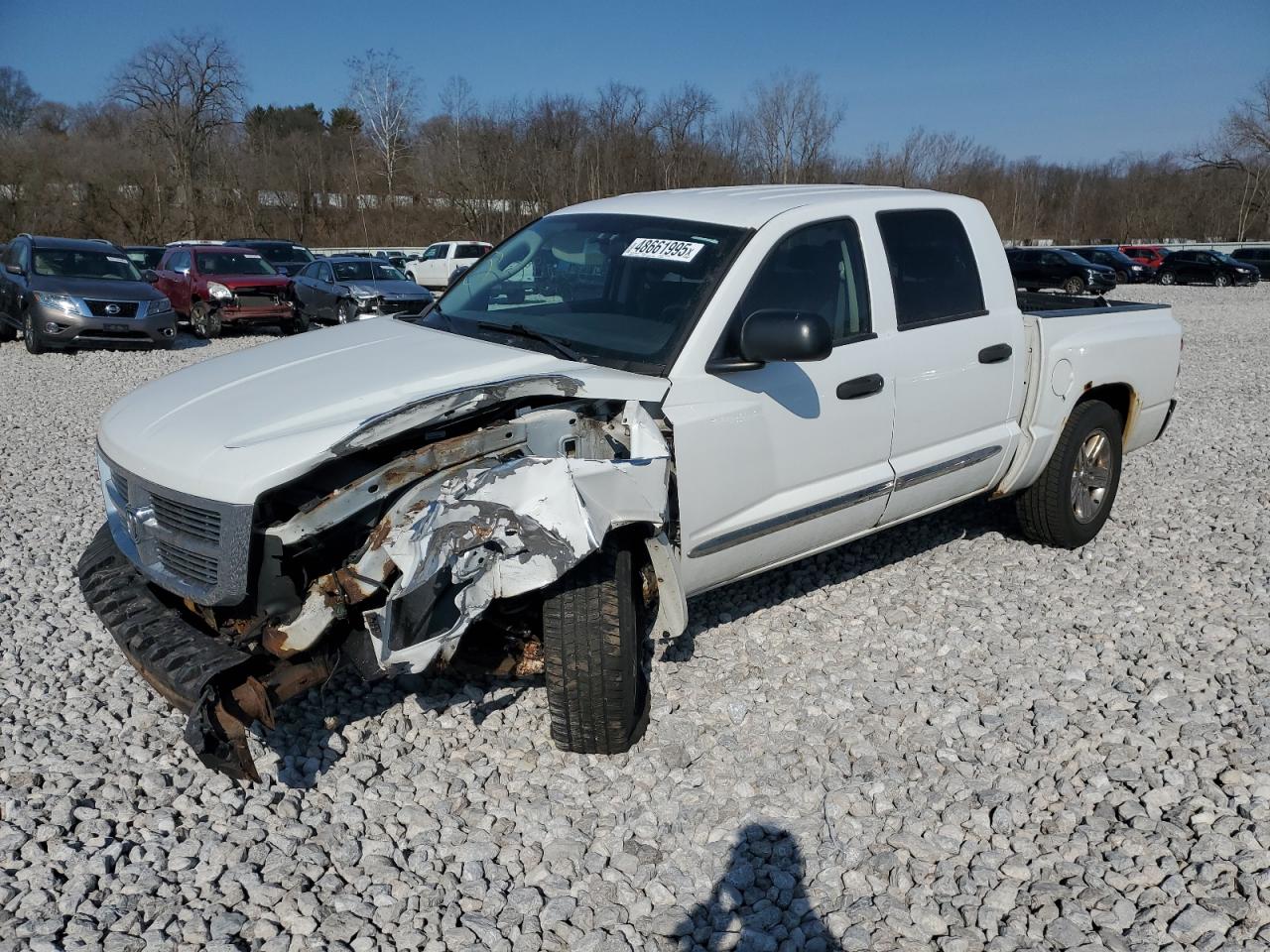 DODGE DAKOTA LAR 2011