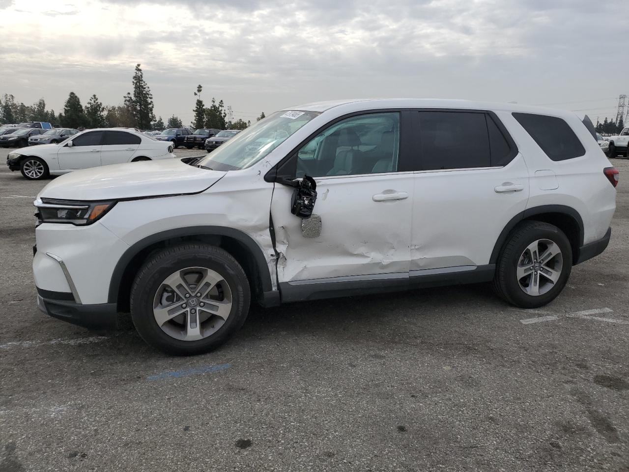 HONDA PILOT EXL 2024