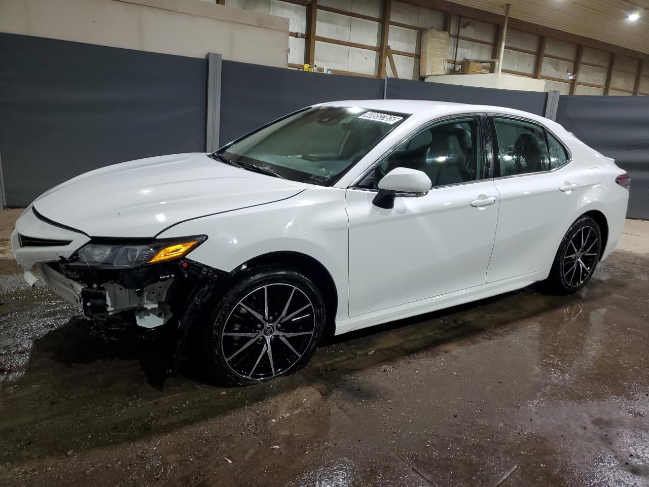 TOYOTA CAMRY SE N 2023