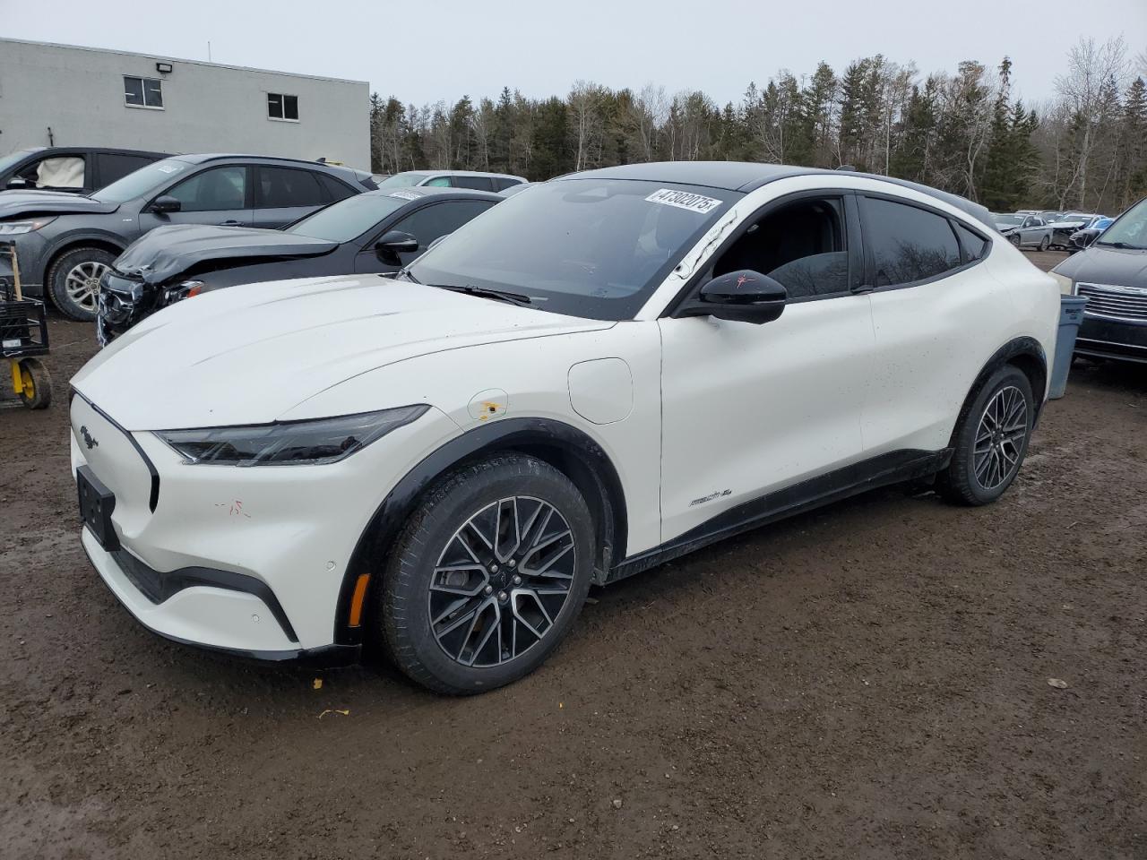 FORD MUSTANG MA 2024