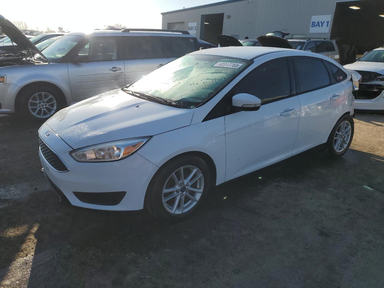 FORD FOCUS SE 2017
