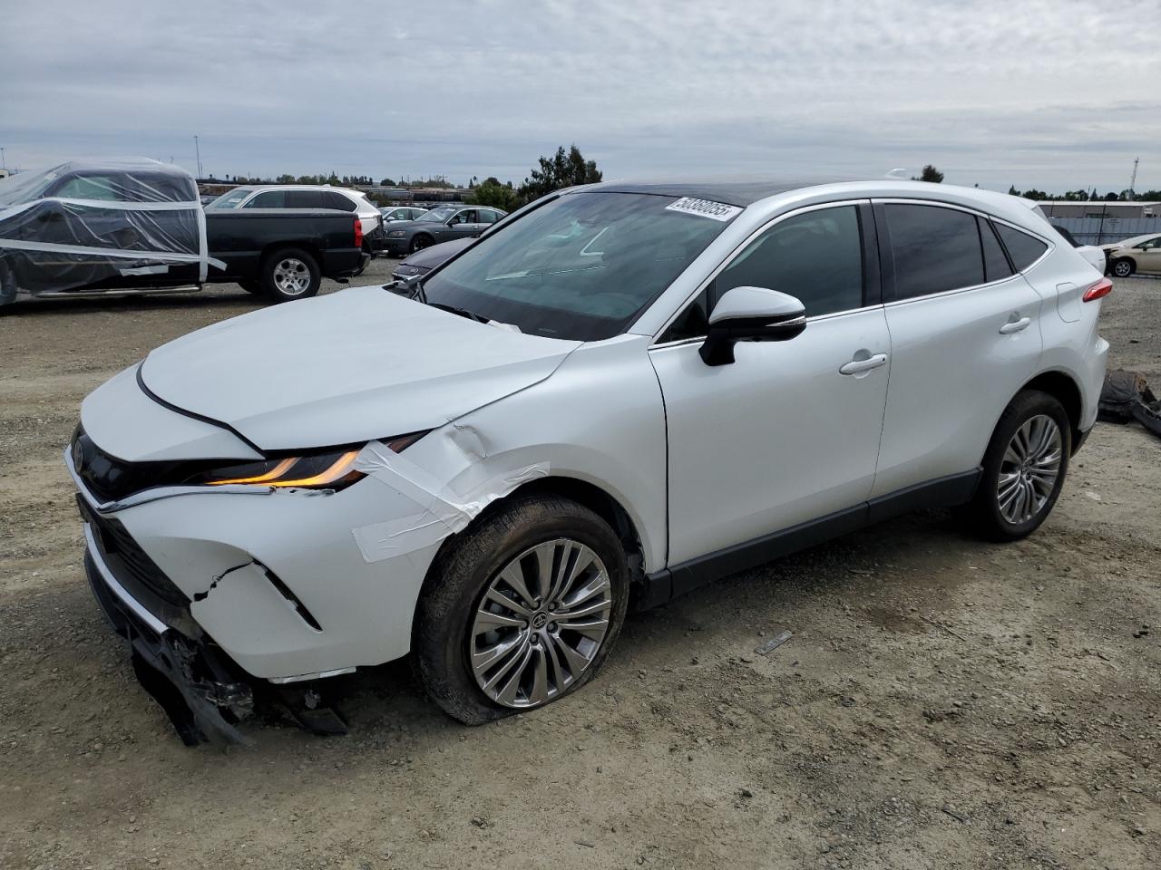 TOYOTA VENZA LE 2024