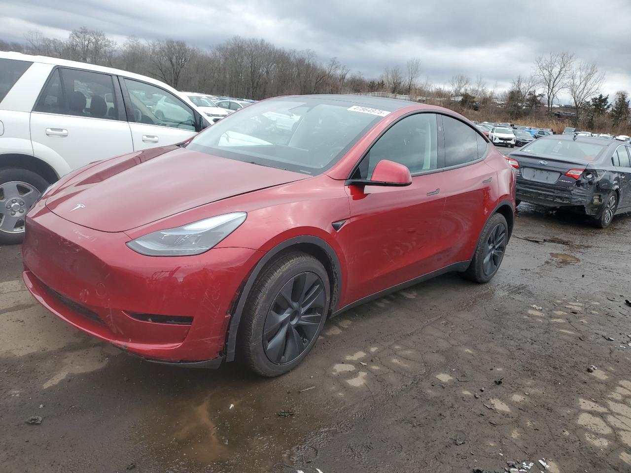 TESLA MODEL Y 2024