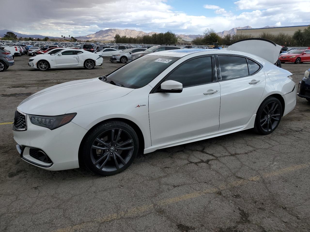 ACURA TLX TECHNO 2019
