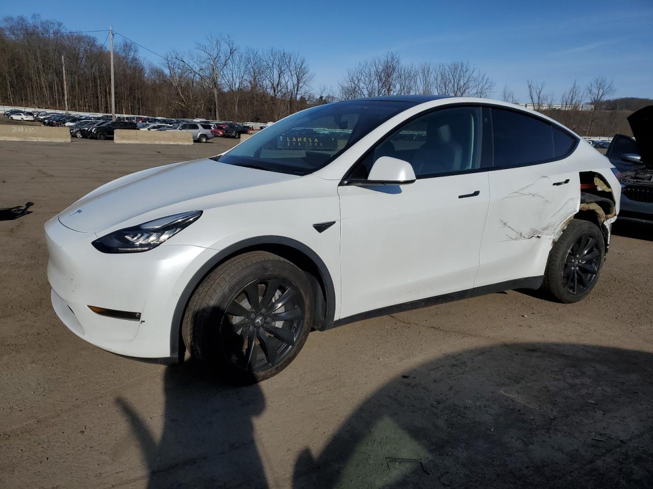 TESLA MODEL Y 2022