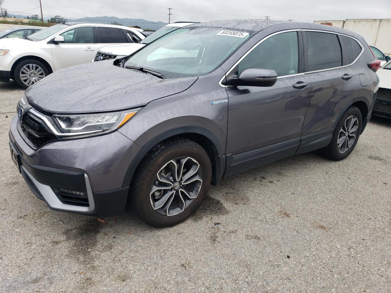 HONDA CR-V EX 2021