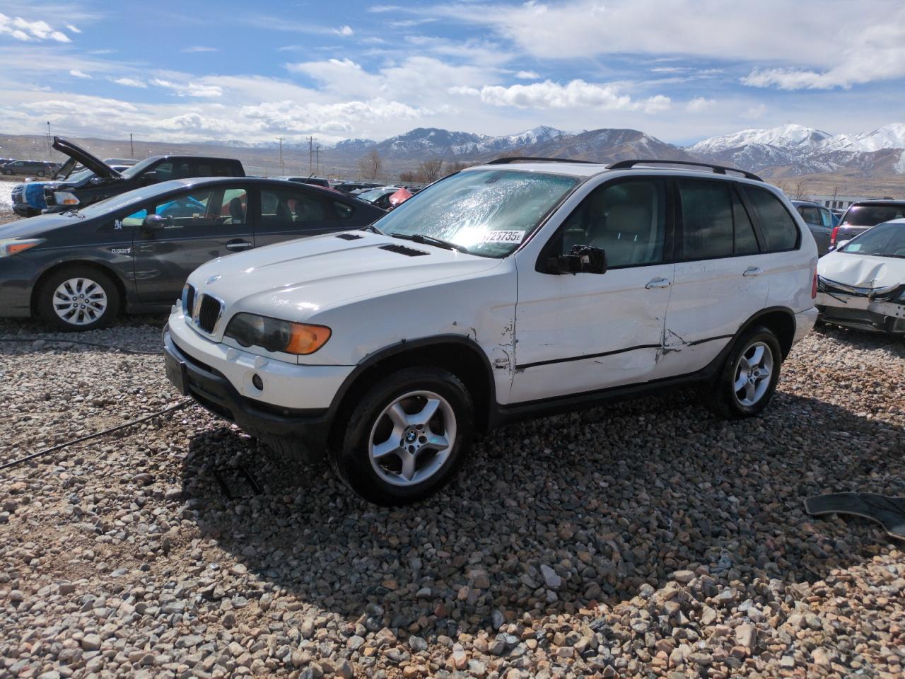 BMW X5 3.0I 2002