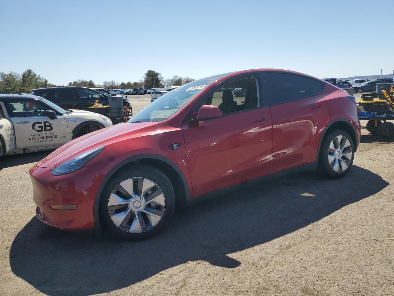 TESLA MODEL Y 2024