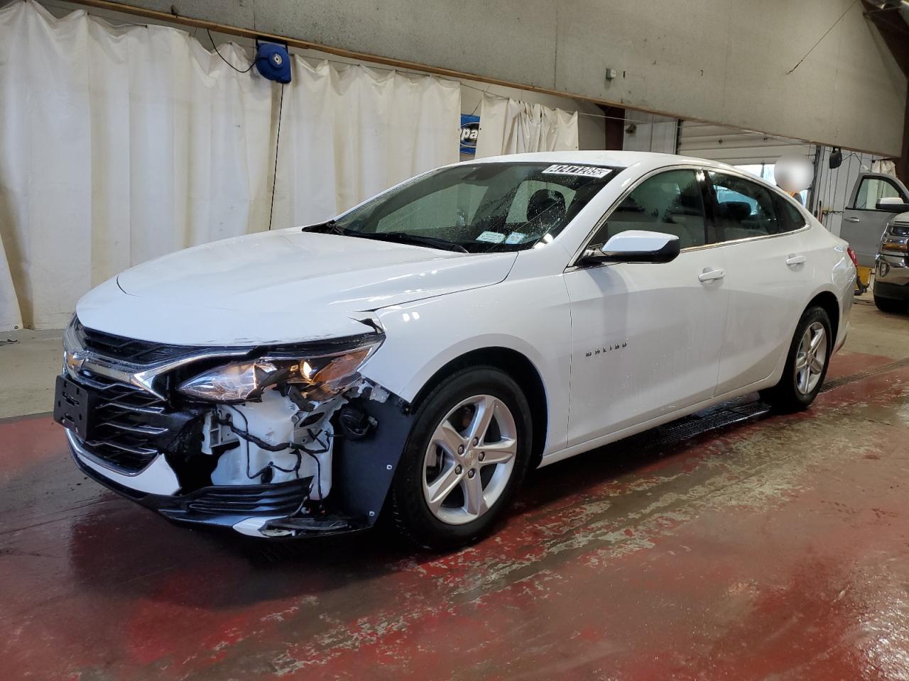 CHEVROLET MALIBU LT 2024