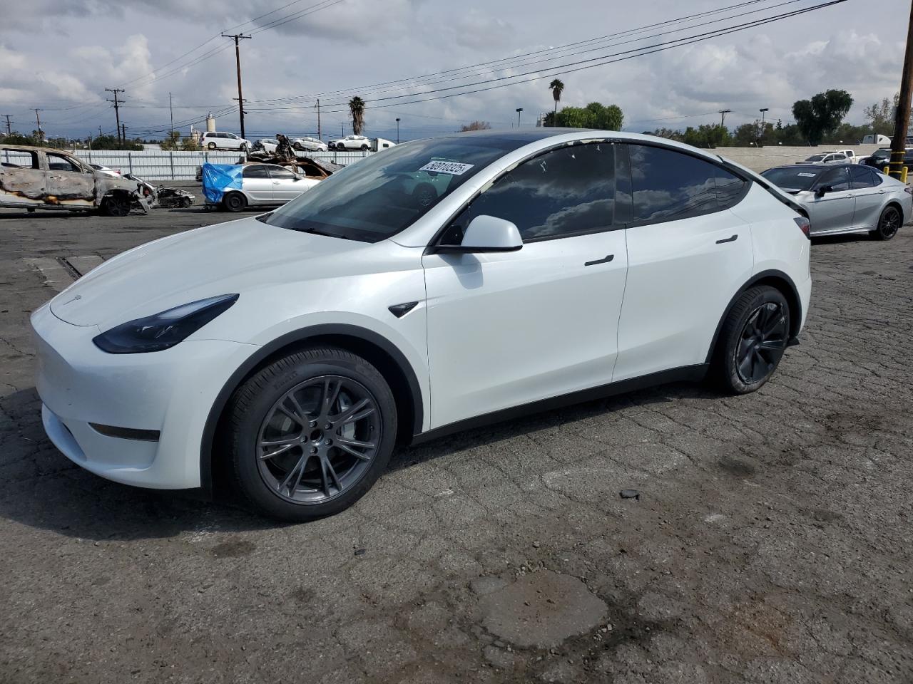 TESLA MODEL Y 2024
