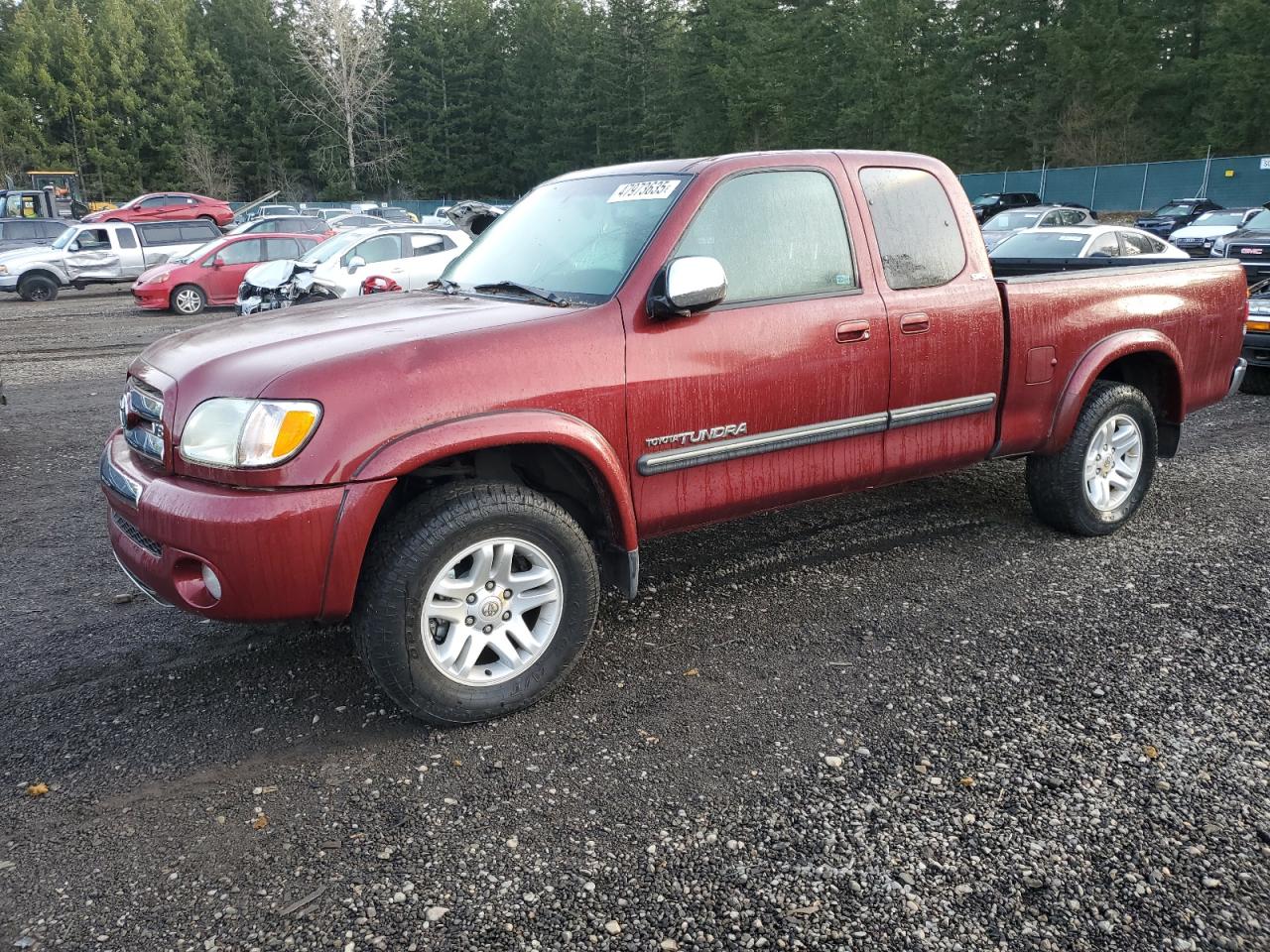 TOYOTA TUNDRA ACC 2004