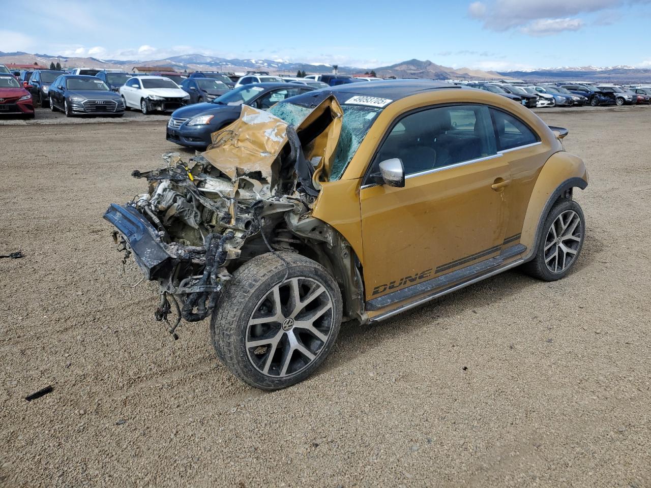 VOLKSWAGEN BEETLE DUN 2017