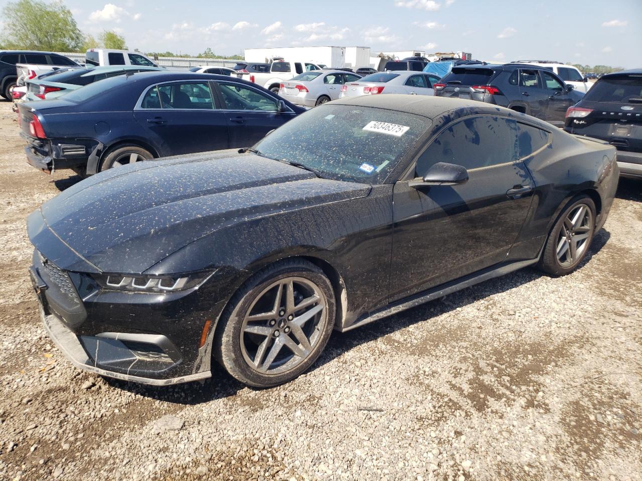 FORD MUSTANG 2024