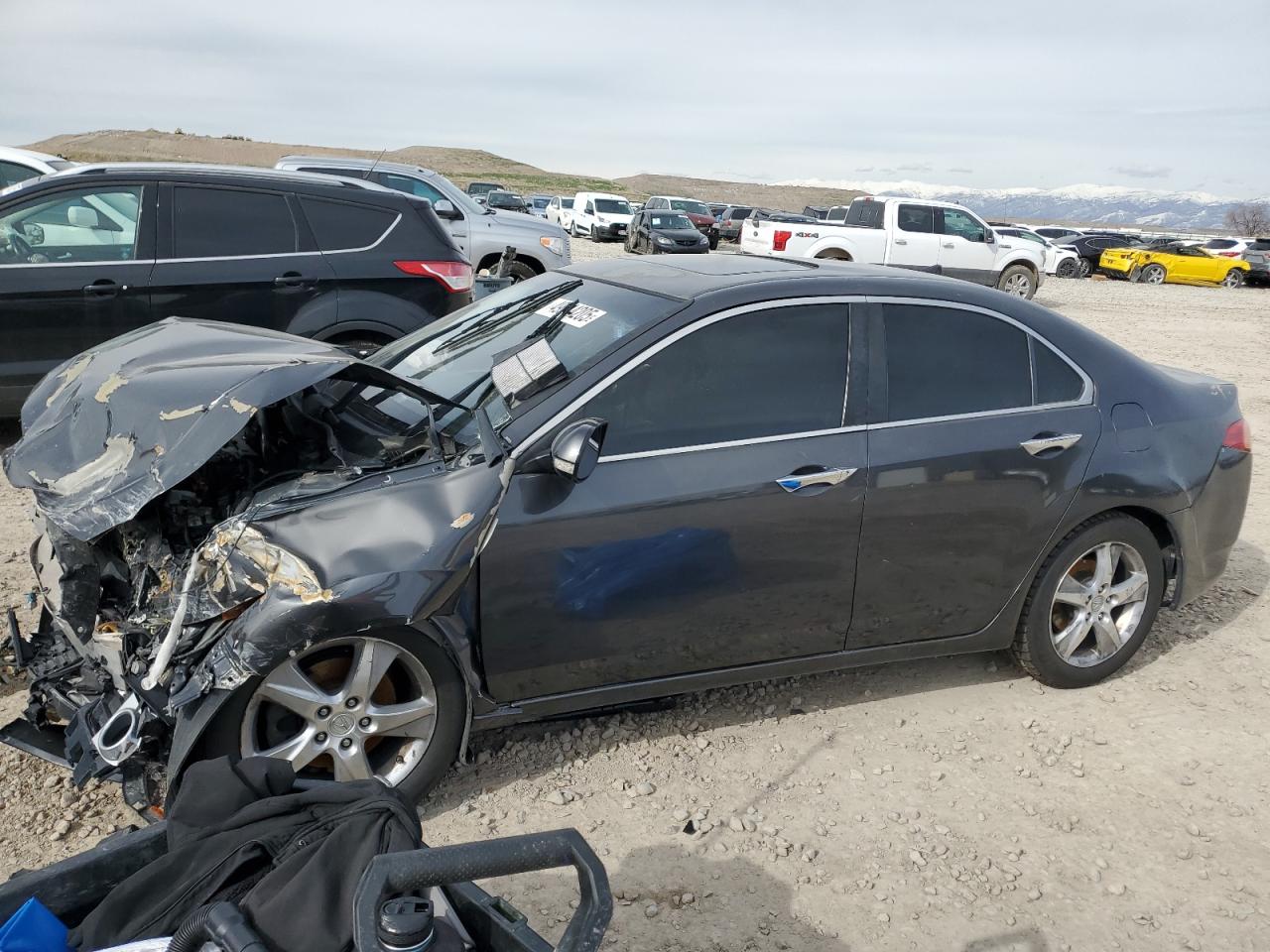 ACURA TSX 2011