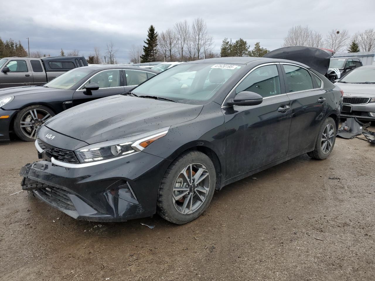 KIA FORTE EX 2023