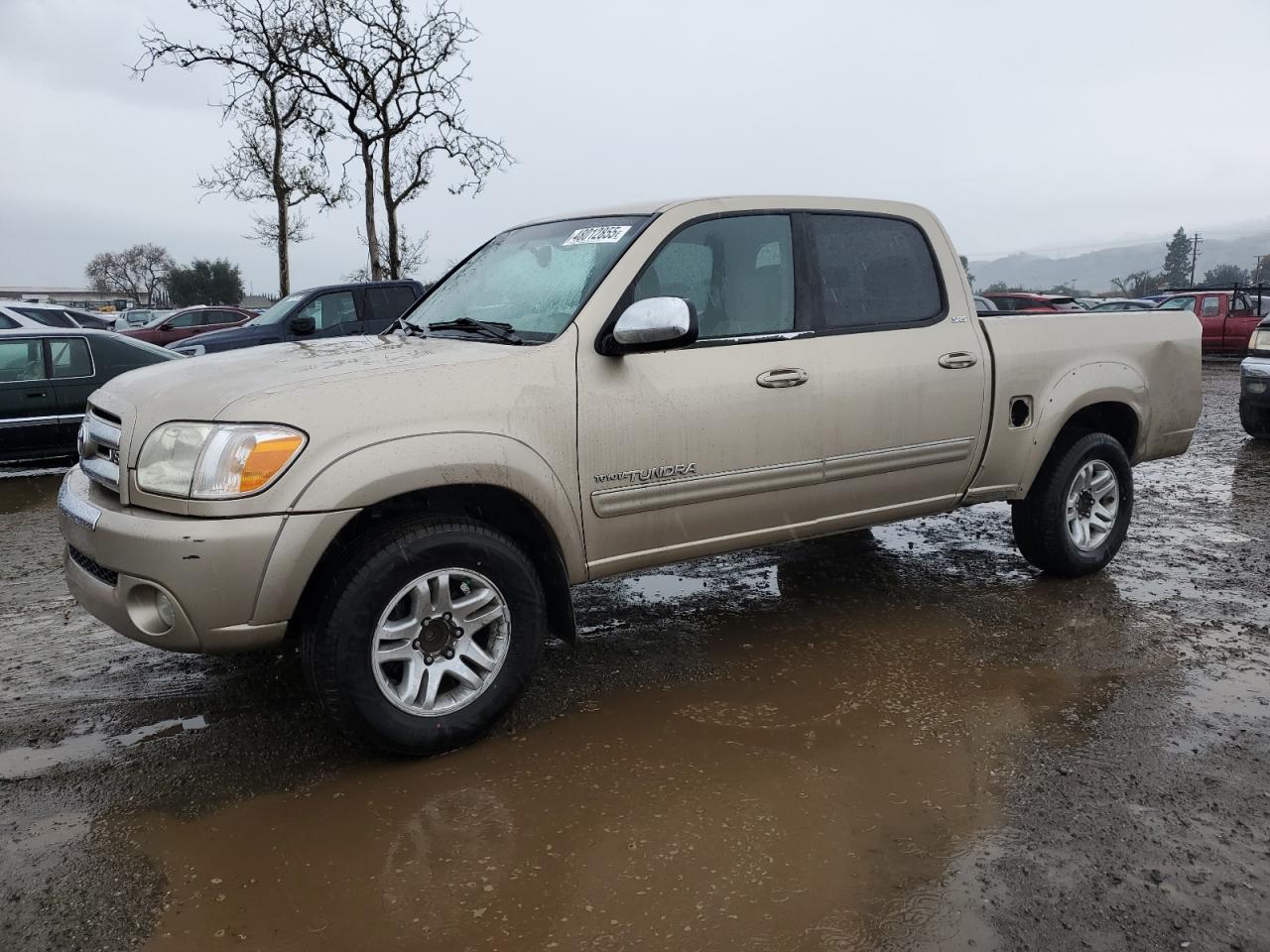TOYOTA TUNDRA 2005