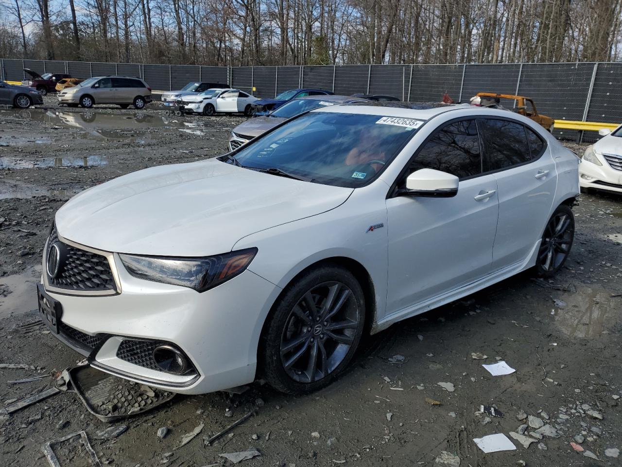 ACURA TLX TECHNO 2019