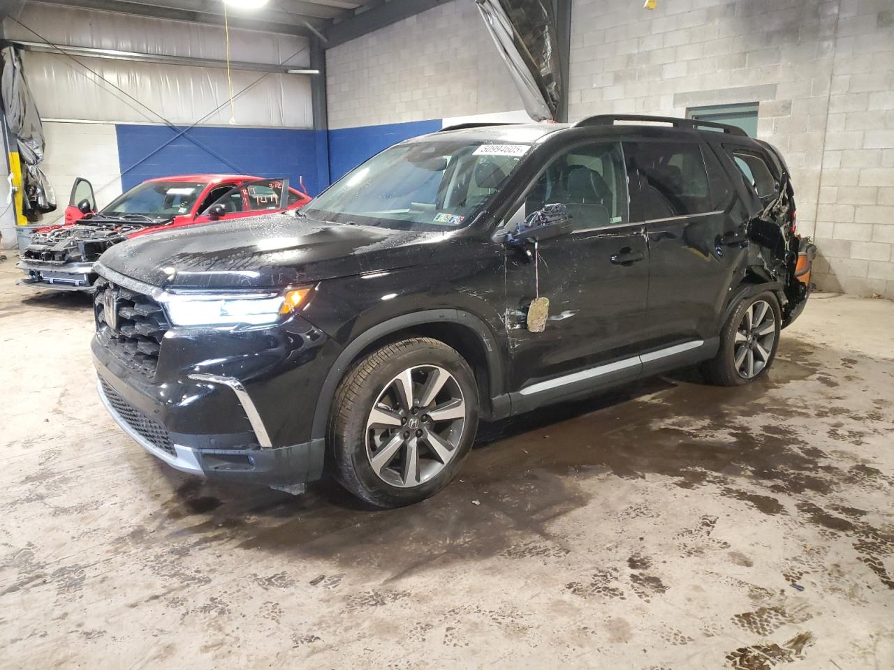 HONDA PILOT ELIT 2024
