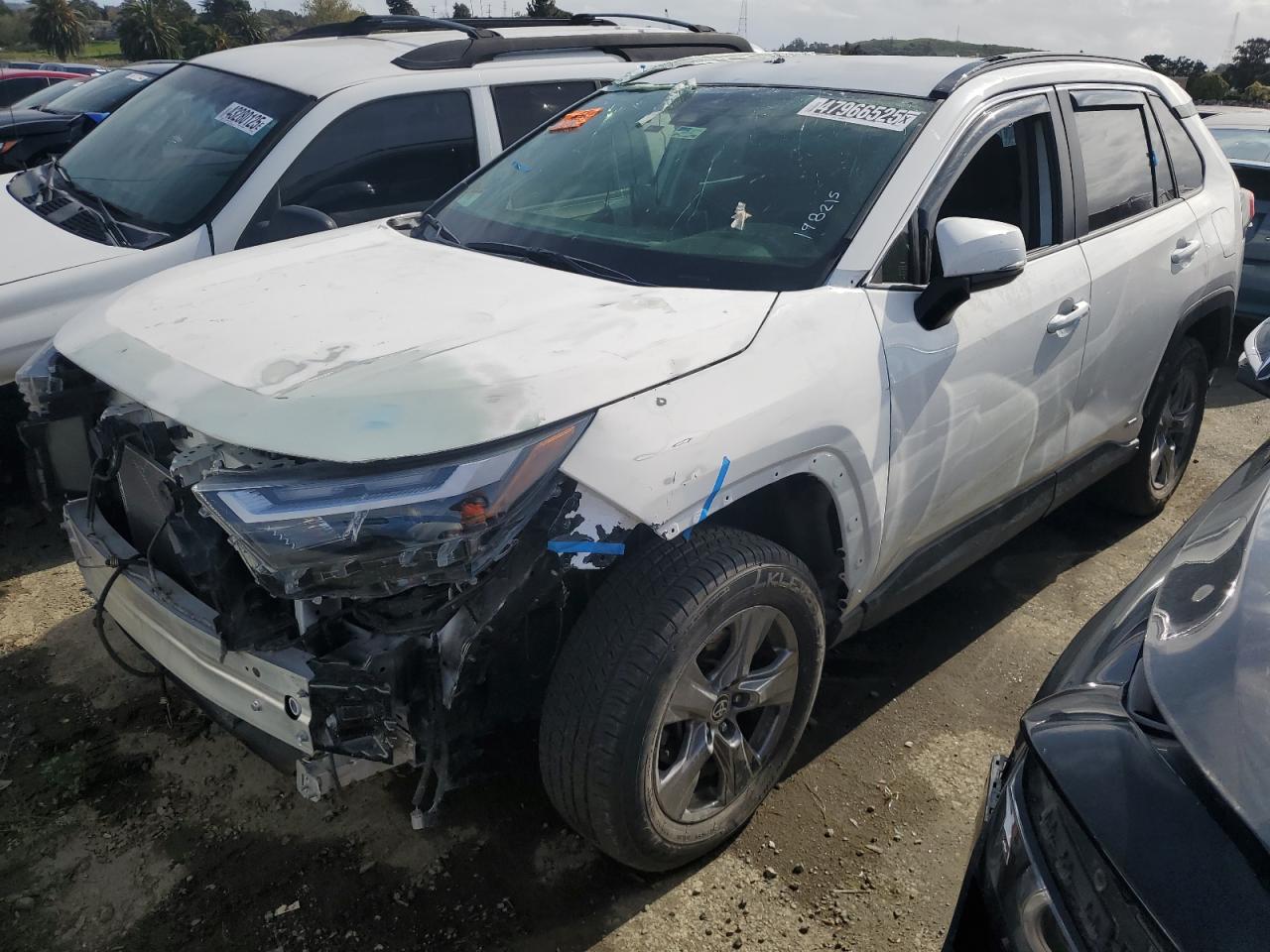 TOYOTA RAV4 LE 2023