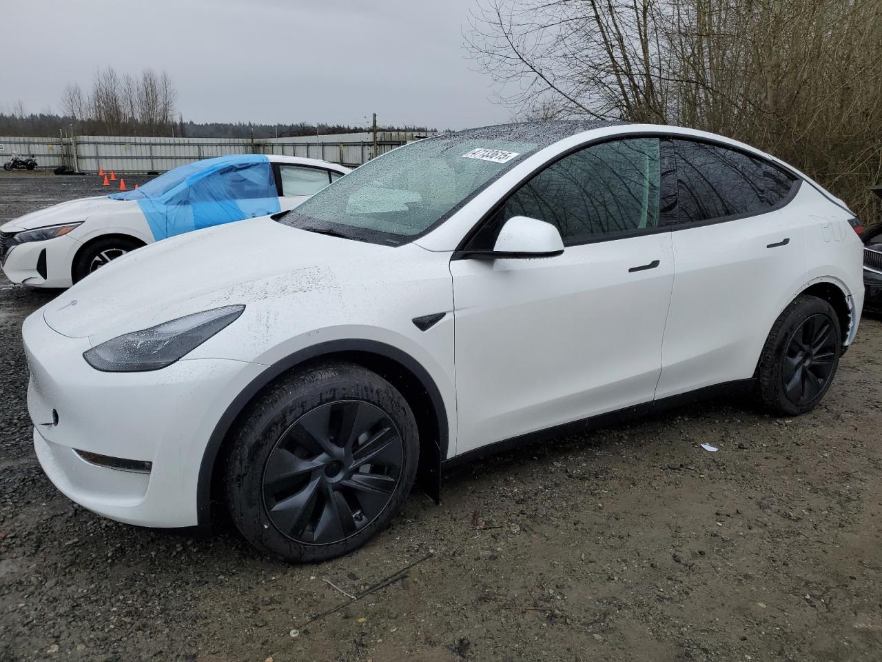 TESLA MODEL Y 2025