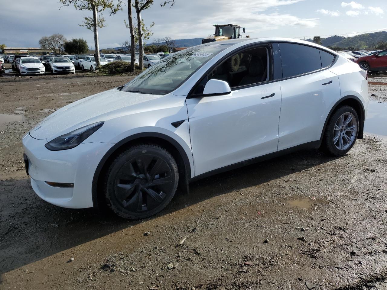 TESLA MODEL Y 2023