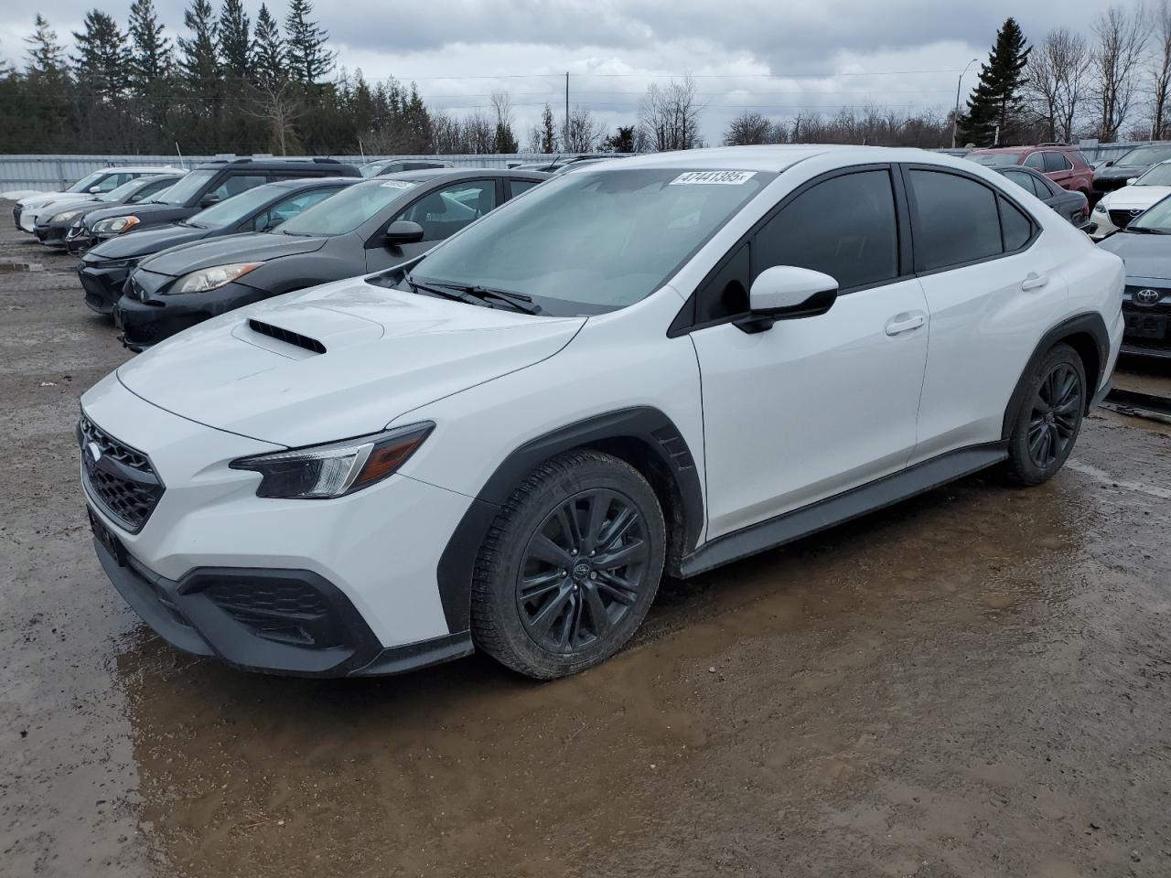 SUBARU WRX 2024