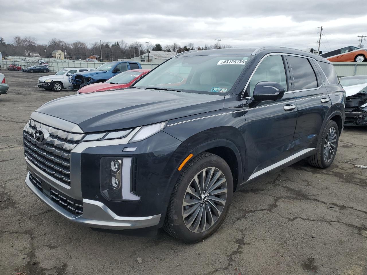 HYUNDAI PALISADE C 2025