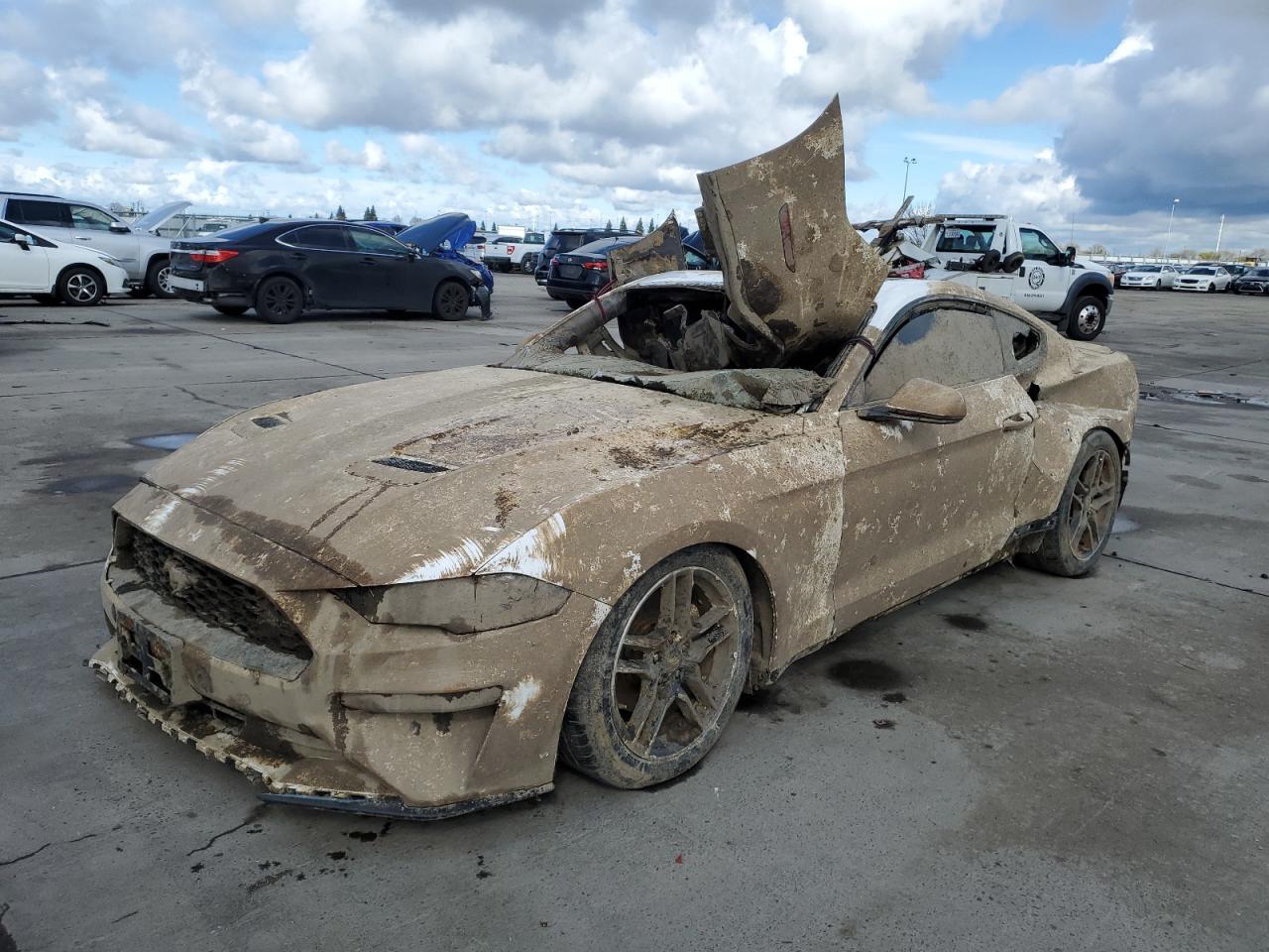 FORD MUSTANG 2021