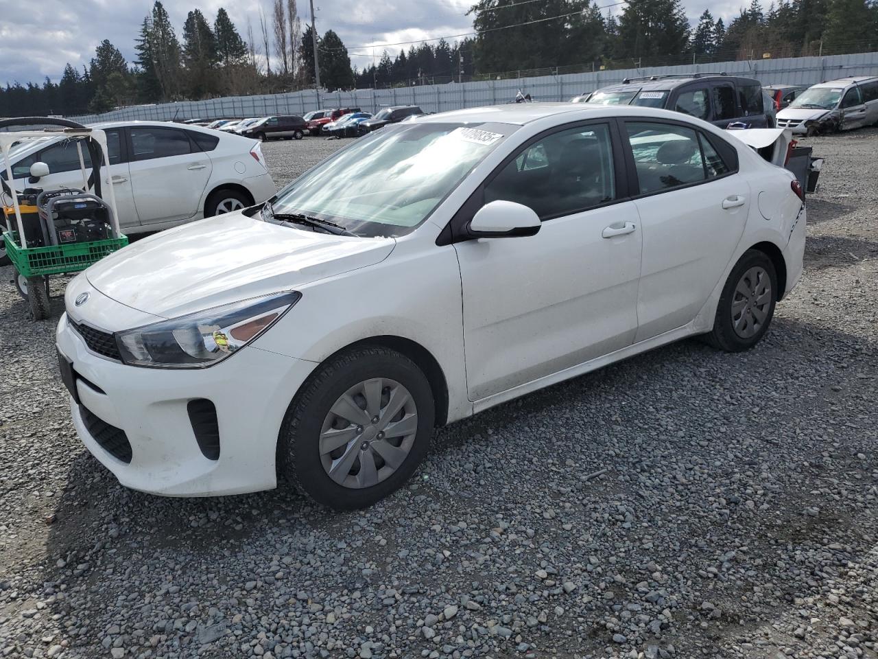 KIA RIO S 2019