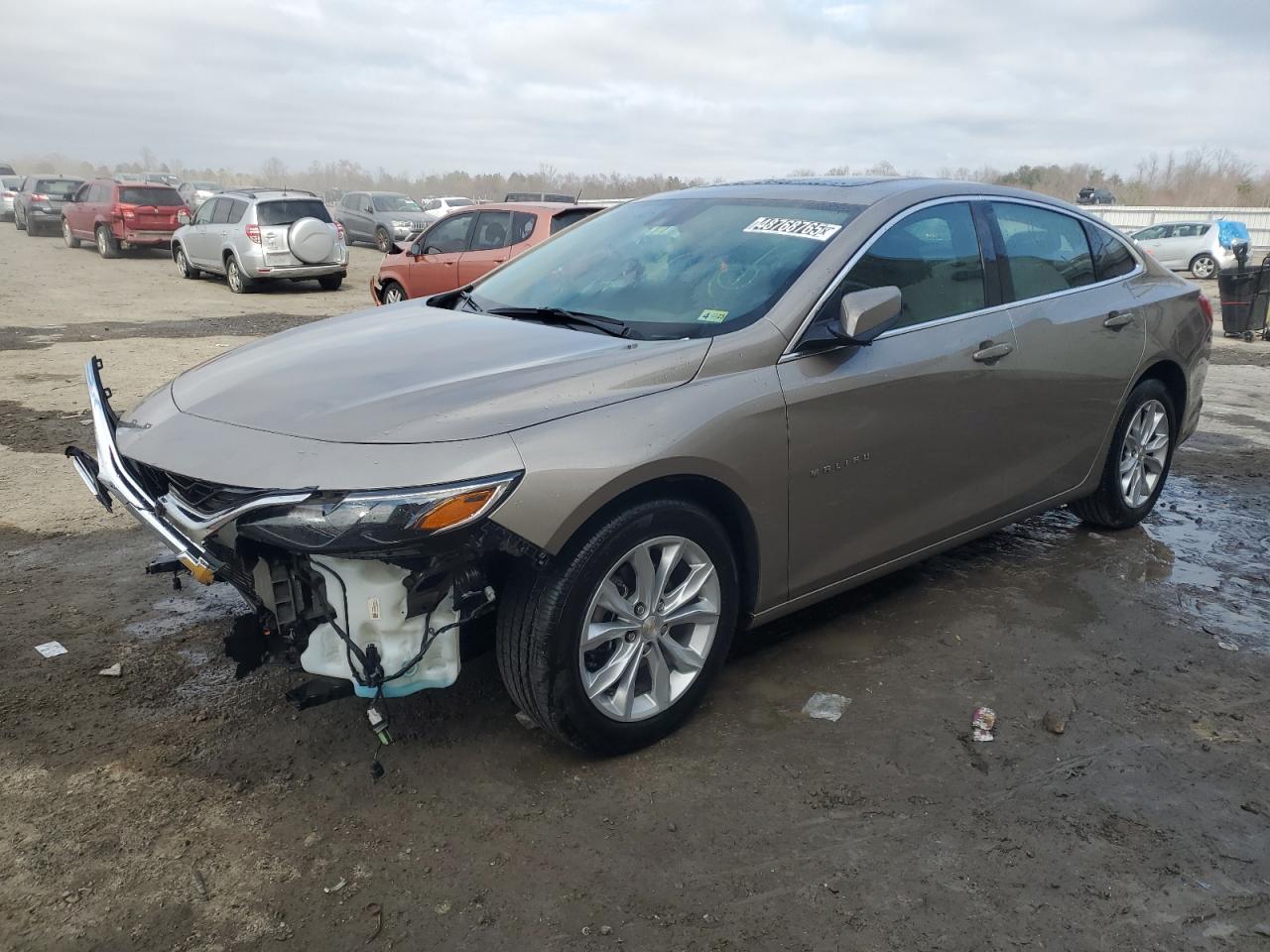 CHEVROLET MALIBU LT 2024