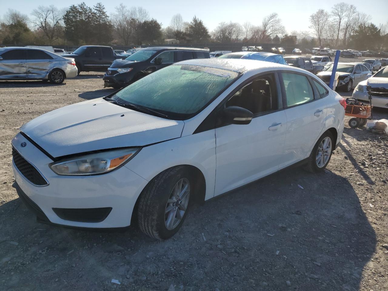 FORD FOCUS SE 2016