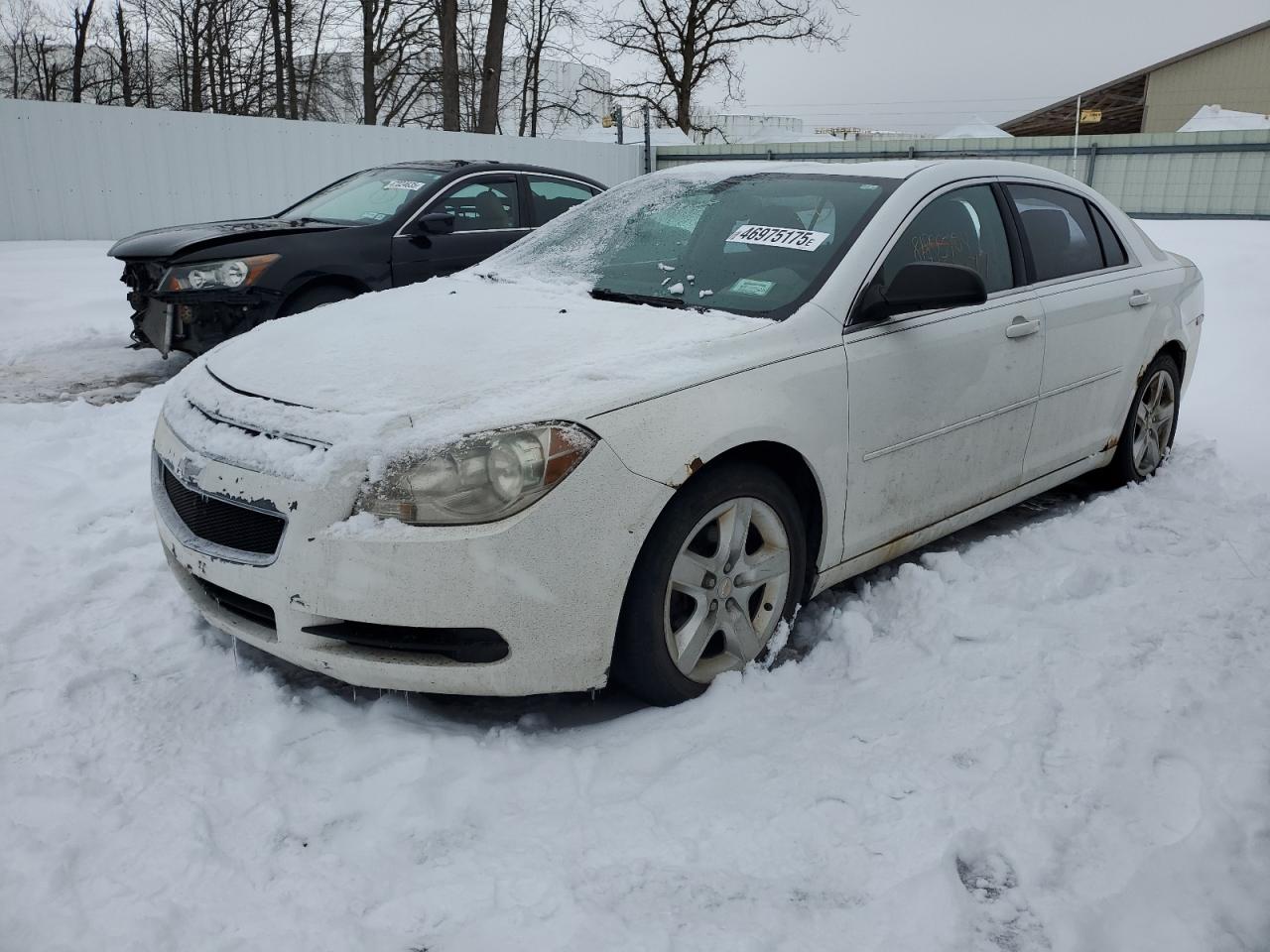 CHEVROLET MALIBU LS 2011
